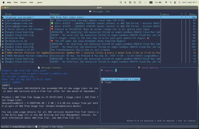Saved queries in GizTUI